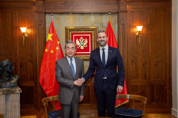 W020261019283790734779.jpg